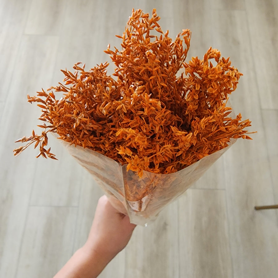 Natural corn grass bundle