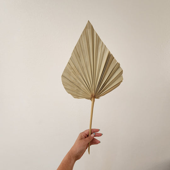 Large Natural Palm Spear