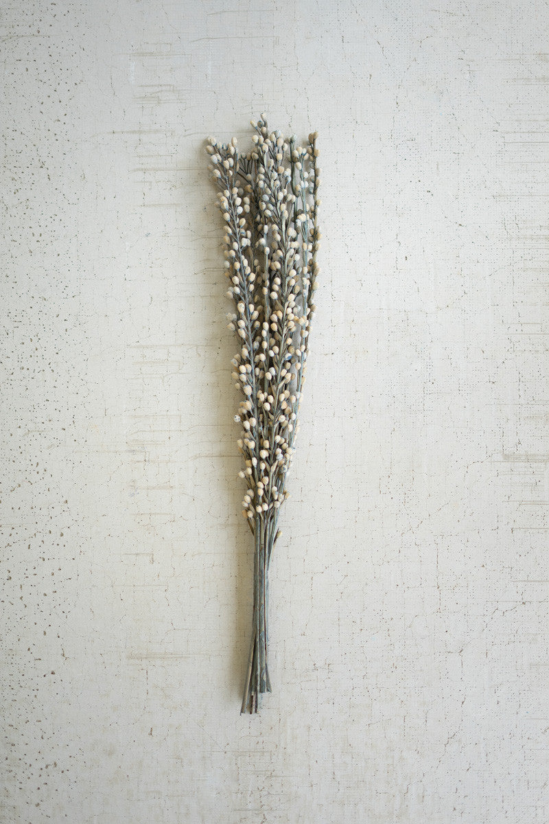 Bundle of 12 dried Moti Sticks