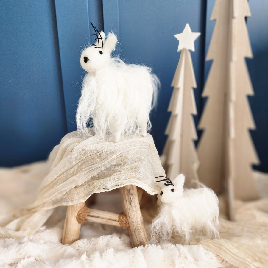 Neve Reindeer